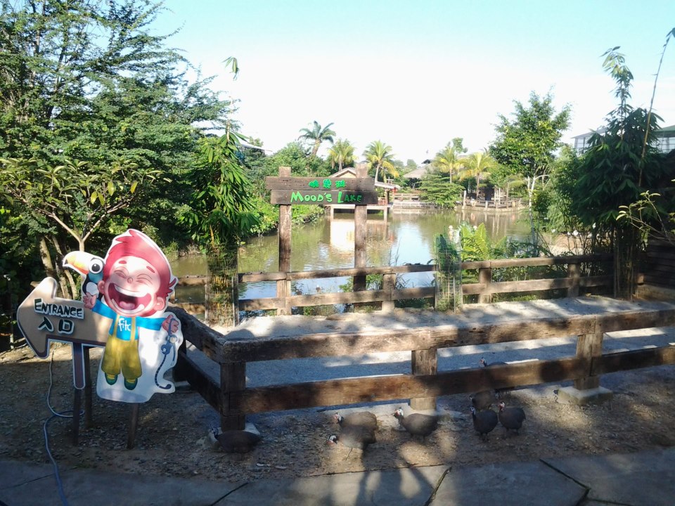 Farm in the City