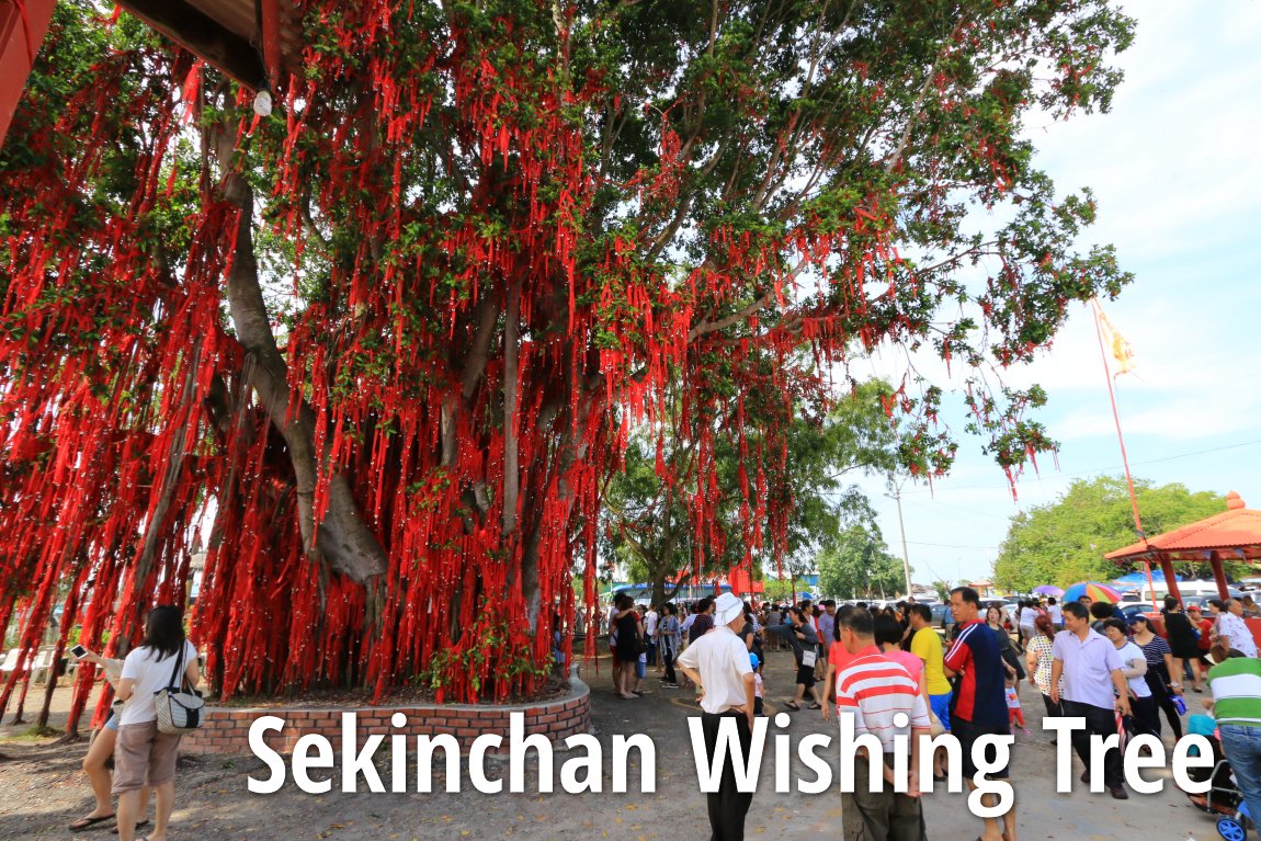 sekinchan wishing tree