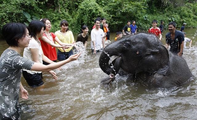 Kuala Gandah Elephant Conservation Centre
