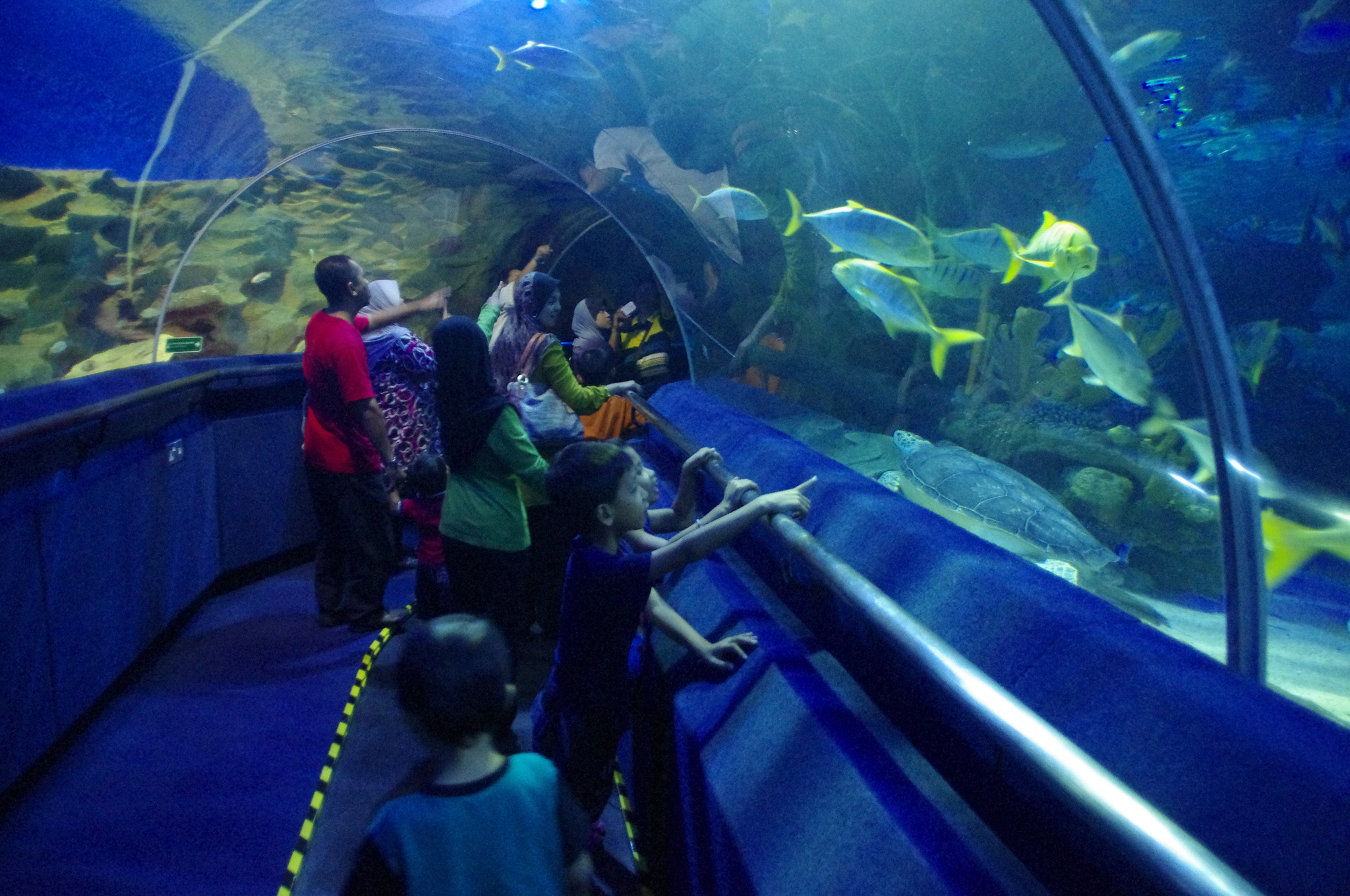 Aquaria KLCC