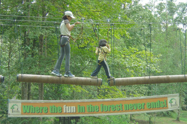 Skytrex Adventure