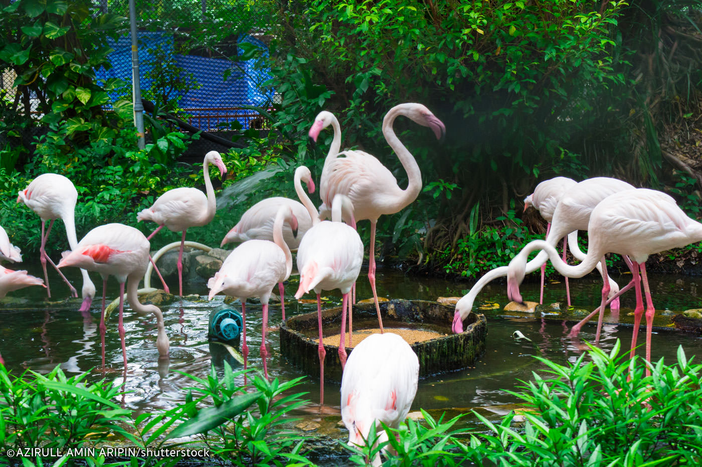 Kuala Lumpur National Zoo