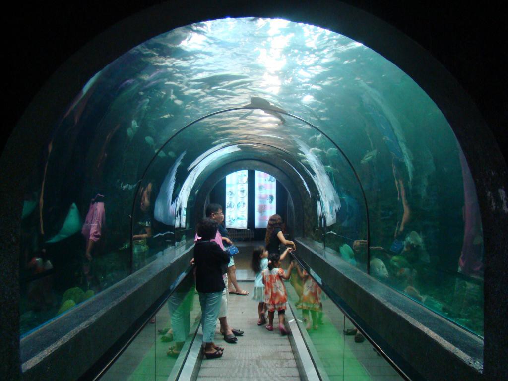 Phuket Aquarium