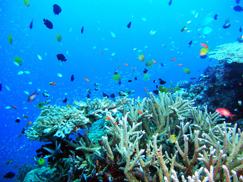 Snorkeling trip around Phuket