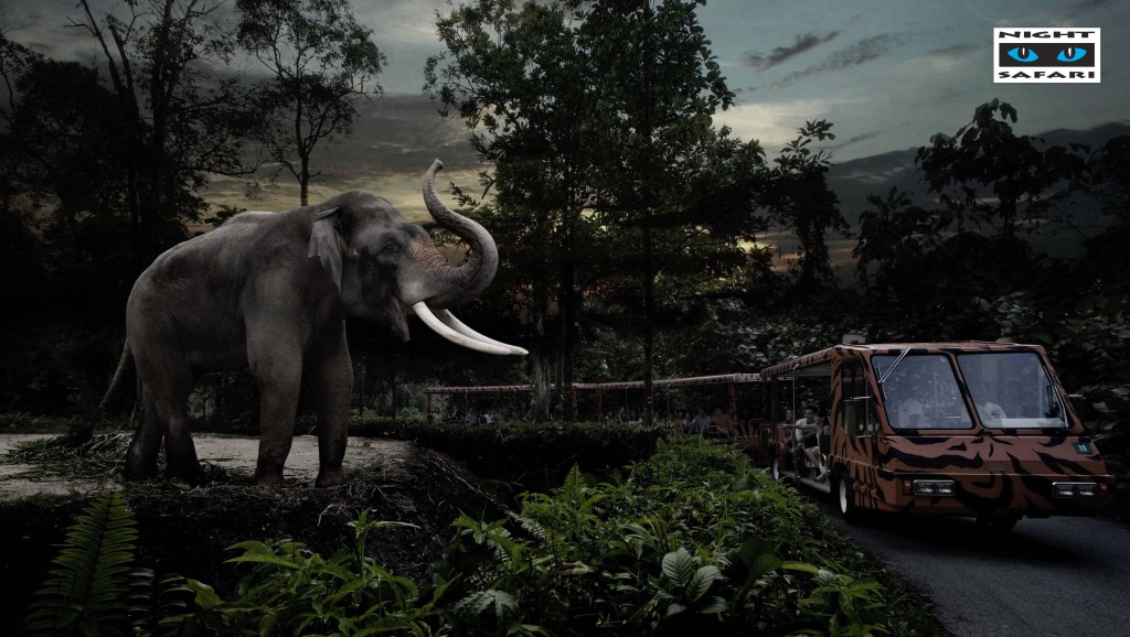 Night Safari Park