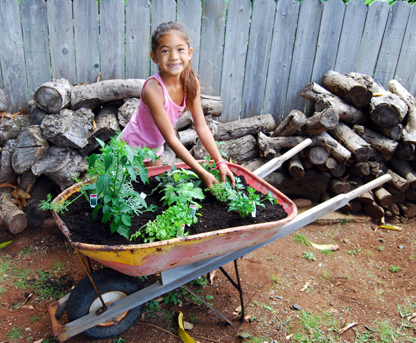 Herb Garden