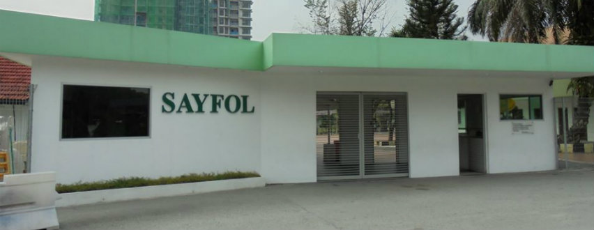 Sayfol International School