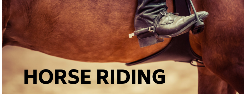 horses riding