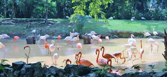 Kuala Lumpur National Zoo & Aquarium