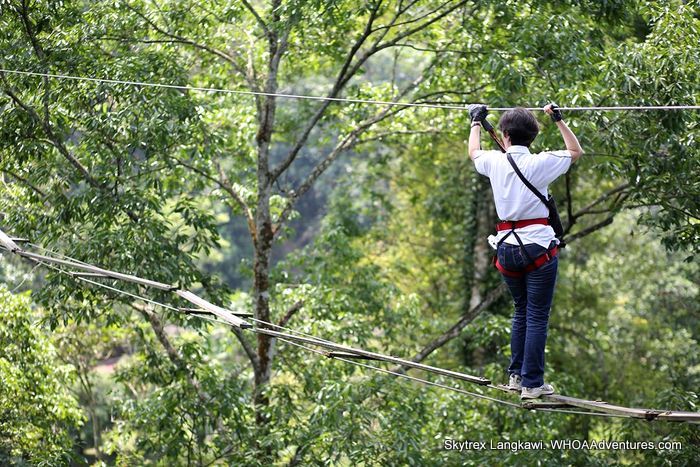 Skytrex Adventure