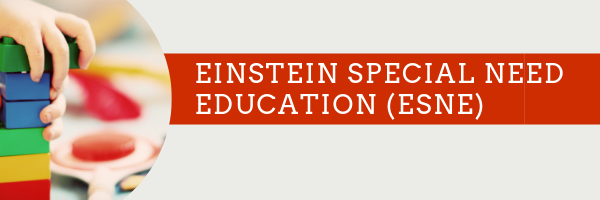 Einstein Special Need Education