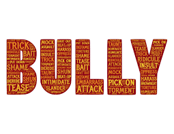 THINGS TO AVOID BULLY