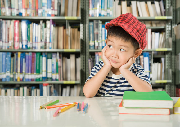 Difference between Government Schools and Private Schools